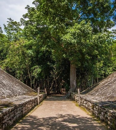 Tour Tortugas Coba Cenote desde Cancún