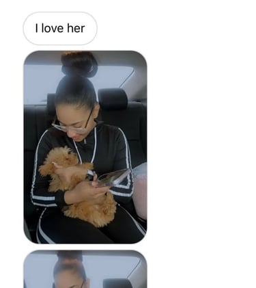 Maltipoo Puppies for Sale