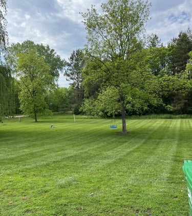 residential lawn in Buffalo MN freshly mowed
