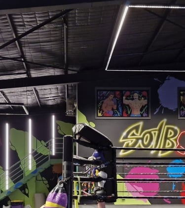Modern lighting for a professional boxing gym, with suspended linear lighting