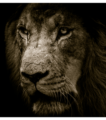 confiance-en-soi-estime-de-soi-hypnose-hypnnosia.fr