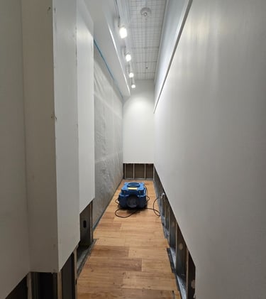 mold remediation in retail store