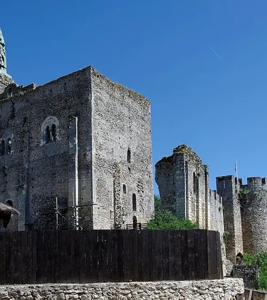 Immergez vous dans le moyen age et découvrez la forteresse de Montbazon