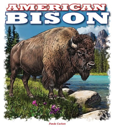 Illustration of an American Bison