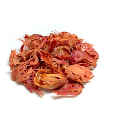 Mace