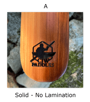 example of solid paddle