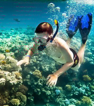 Snorkeling for all the family