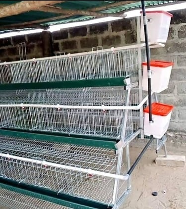 Battery cage