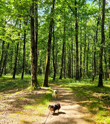 jeu de piste balise 3