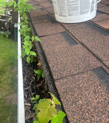 a photo of a dirty gutter that i cleaned