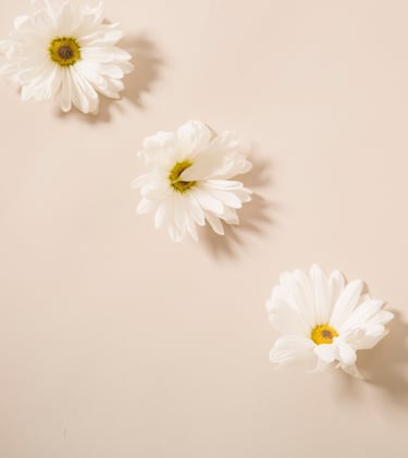 terapia hormonal murcia ginecologa pellets desequlibrio hormonal SOP ovario menopausia sofocos 