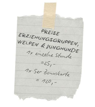 Price list for puppy and dog training classes on a torn piece of paper with tape.