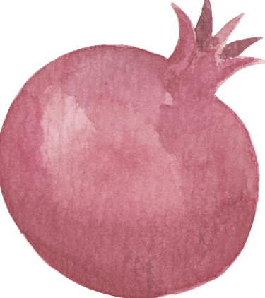 watercolor pomegranate