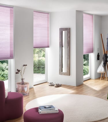 Modern Home Pleated Blind Designs