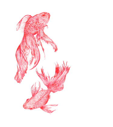 Poissons japonais de couleur rouge dessinés en "DOT"