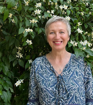 Astroleela, vedic astrology, indų astrologija, астрология