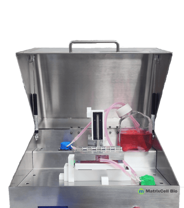 bioreactor, compression bioreactor, biomimetics