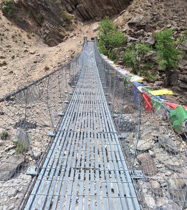 Bridge Phoksundo Park