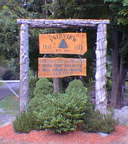 Fairview Tree Farm's old sign
