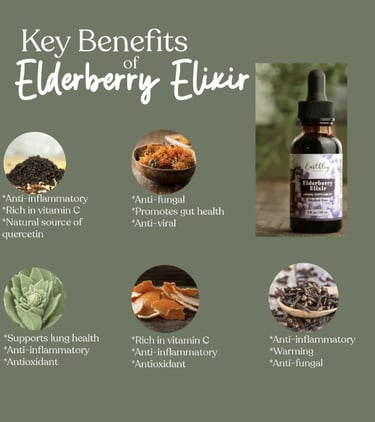 Earthley Elderberry Elixir Ingredients
