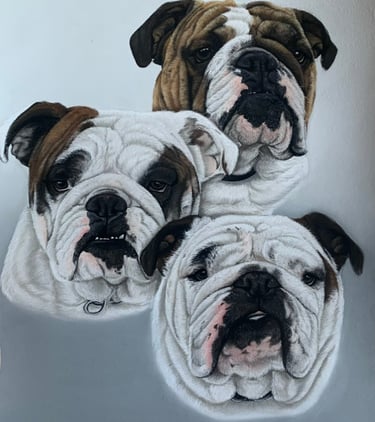 Pet portrait commission