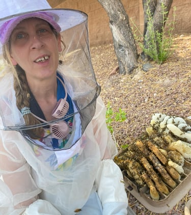 Betsy Lewis from Vegas Bees