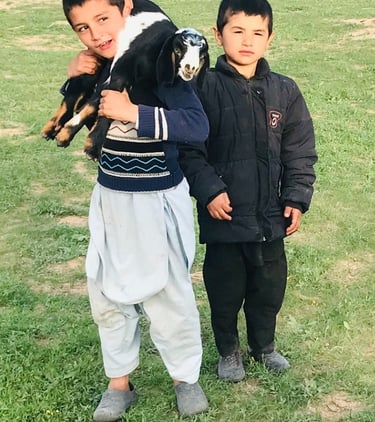 afghanistan tour operators