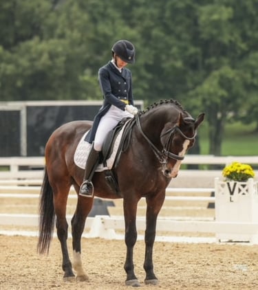 Paula competing with Solaguayre Country Knight