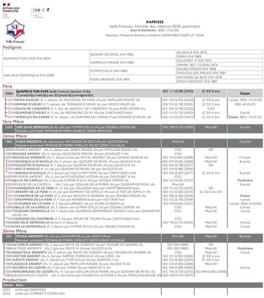 Fiche généalogique KAPRISSE