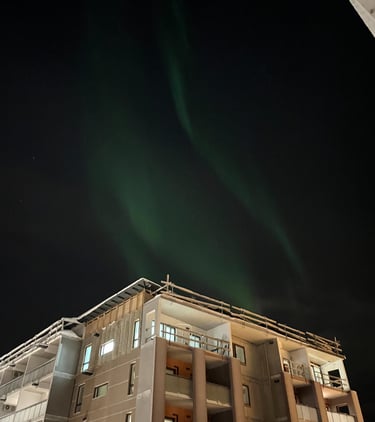 Northern Lights in the city