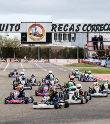 circuito-karts-el-correcaminos-la-sagra-alojamiento-empresas.jpg