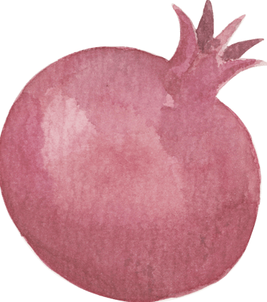 watercolor pomegranate