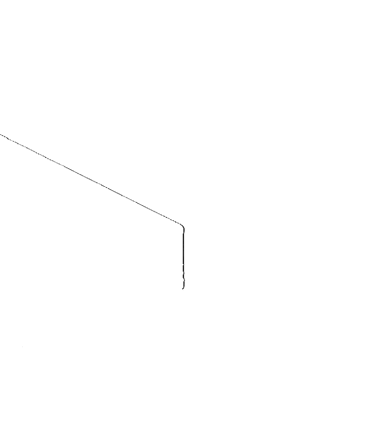 White Master Carpet Logo