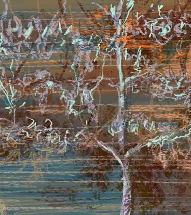 Scotney Castle espaliered trees - digital drawing