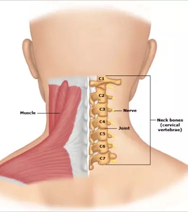 Dr.Rajinikanth's ortho clinic cervical spondylosis