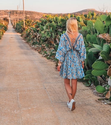 malta view with cactus