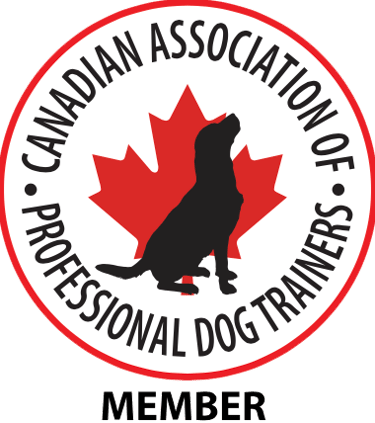 logo for CAPDT