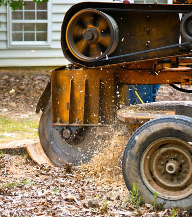 stump being ground by stump grinder