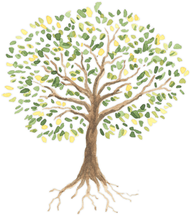 tree rotted in craft and raised in quality