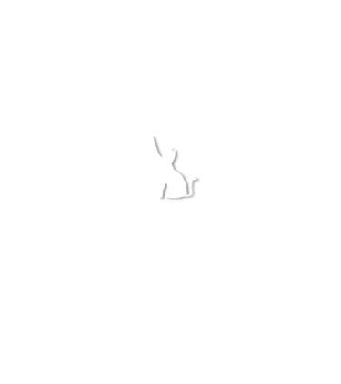 Digital Cat
