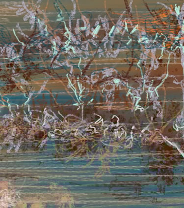 Scotney Castle espaliered trees - digital drawing