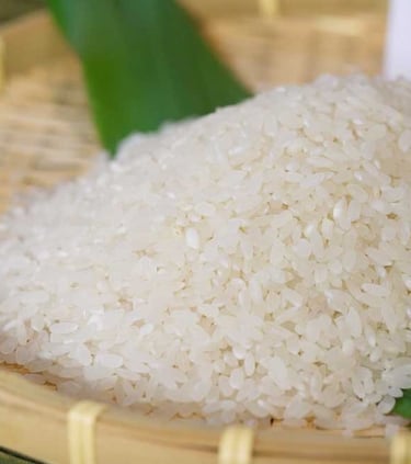 ir36 raw rice non basmati export