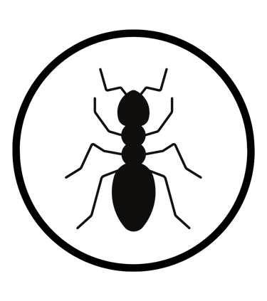 traitement fourmis
