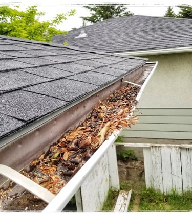 a photo of a dirty gutter with leaves in it