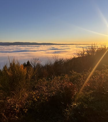 vue au dessus des nuages, illustrant la marche consciente qui élargira votre vision de vos possibles