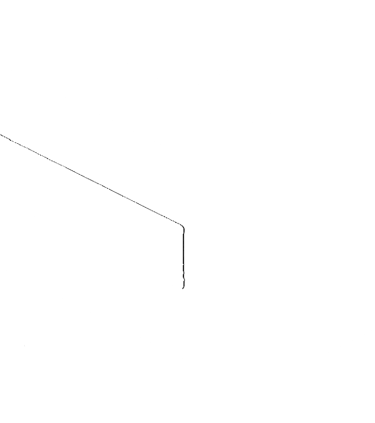 White Master Carpet Logo