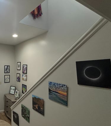 Artist Lauren Connelly presents Wild Developments Studio