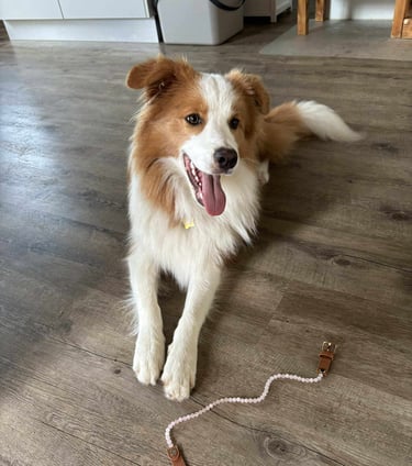 Heulsteinkette für Hunde Rosenquarz