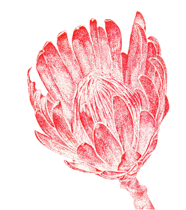 Fleur de couleur rouge dessinée en "DOT"