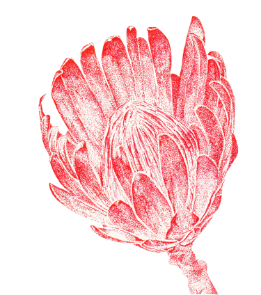 Fleur de couleur rouge dessinée en "DOT"